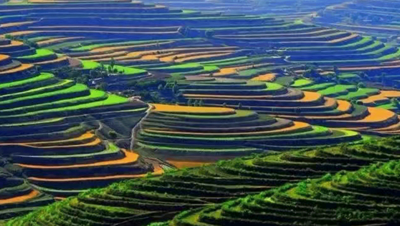背景插畫(huà).gif
